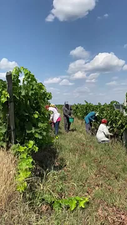 � ��������� ����� �������� �� ���������� ������������� ������� ��������� ���� �����