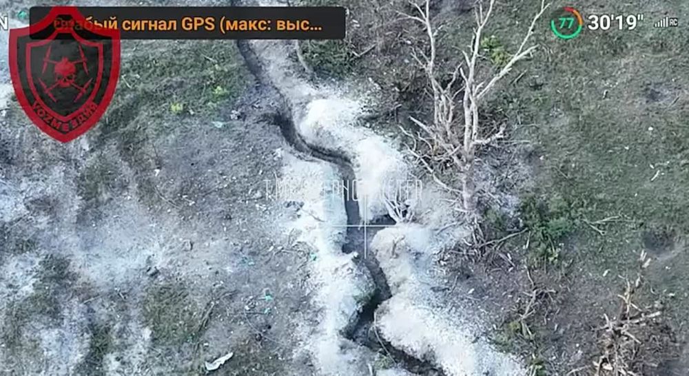 ���� ���� �� ����������� �������.