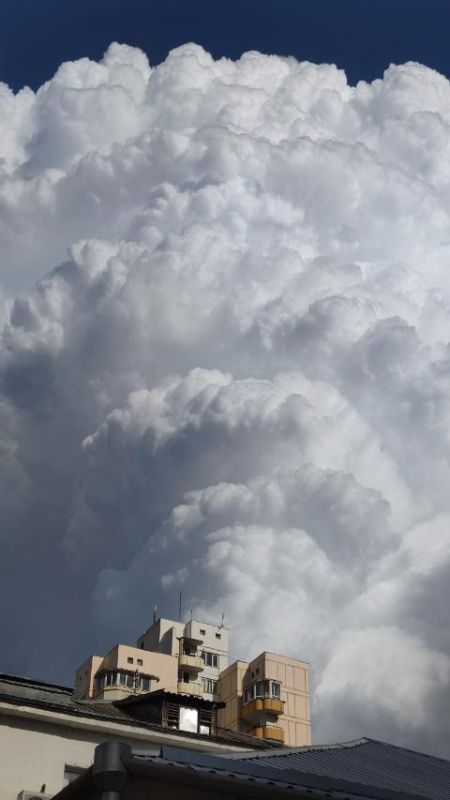 ���� ��� ����������. ����� ��������