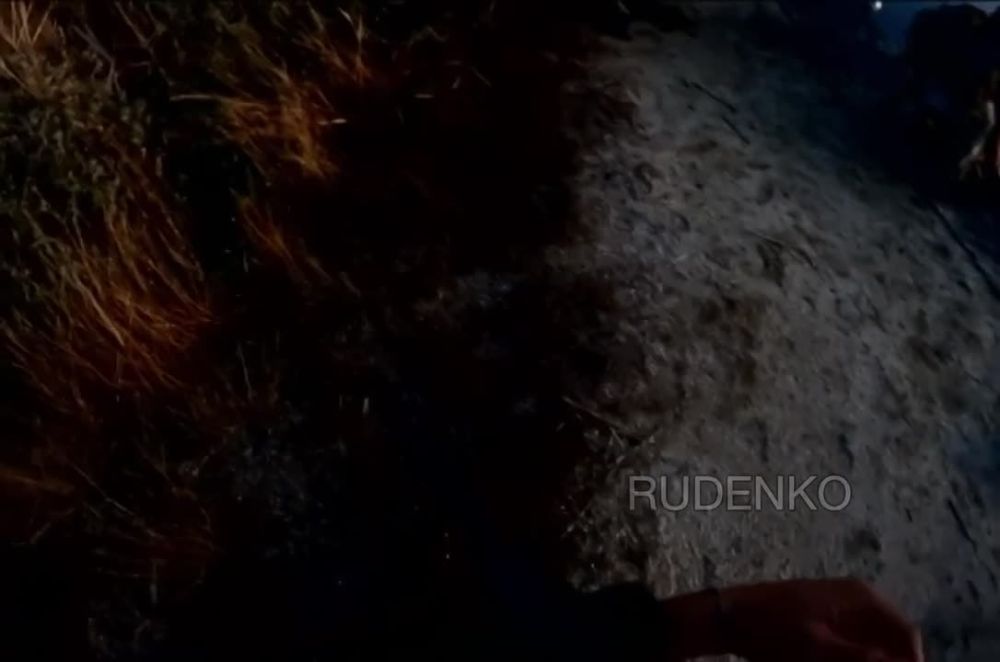 ������ ����� 24 �������, ��������� �������� � ��������� ��� "��������� ��������" �� ����� ������ ������