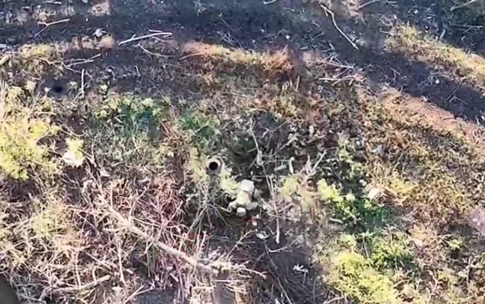 ����� ������� � ������������� �� ����������� �������.