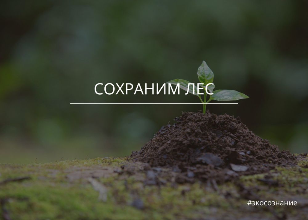 ������� �����. � ����� ��������� �������� ����� 900 ���. ������� � �������� � ������ ����� ��������� ���. �� ���� �������� �� SevastopolMedia �� ������� �� ������������� �������