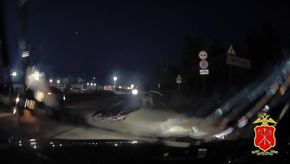 � ���������� 18-������ ����� �� ���������� ������ �� �������� � ������� � ����� ��� ������