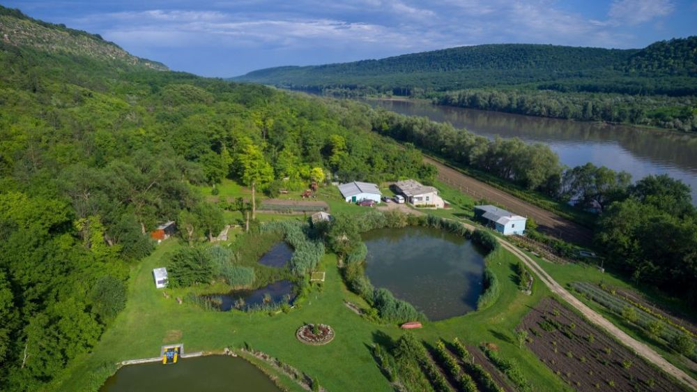 26 ������� � ��������� ���� ����� ������ ��������� �������� ����������