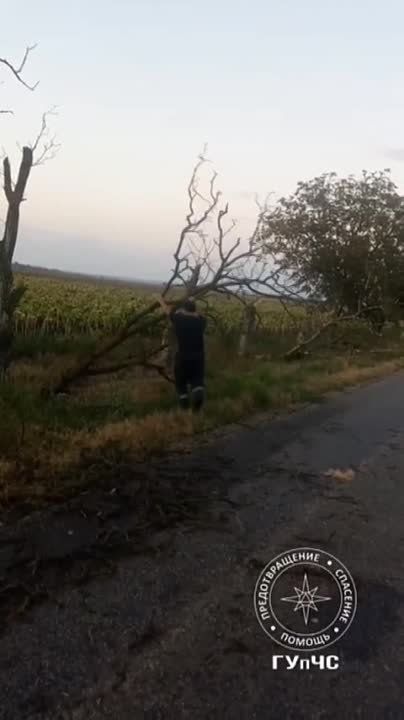 ��������� ����������� ������� �����