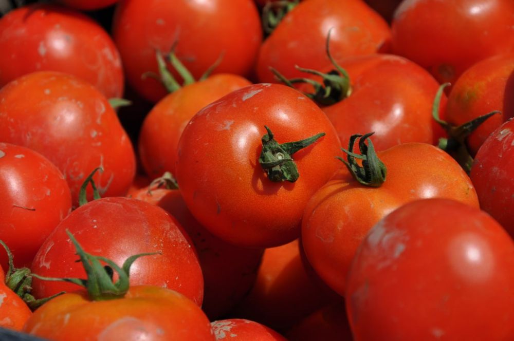 ��������� �������� � 2023. ����������� ������