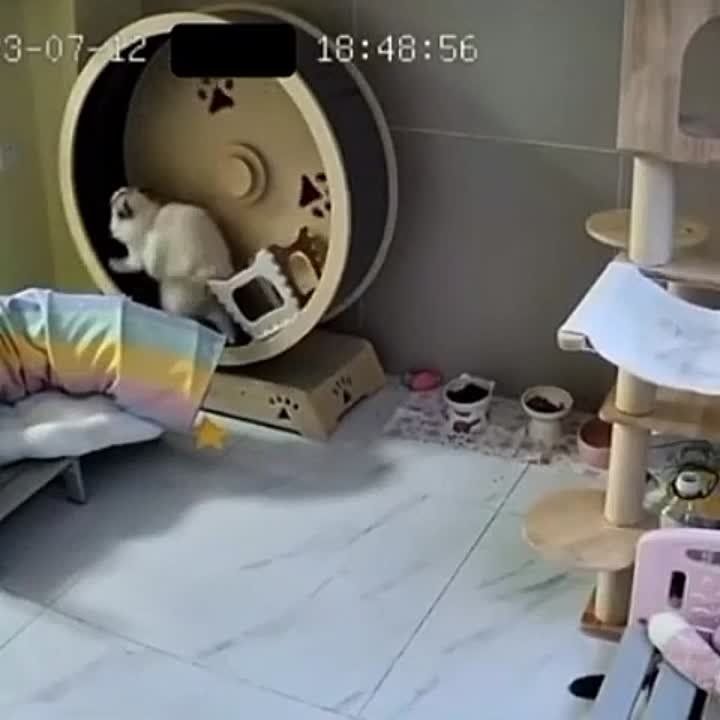 ������� �� �����?