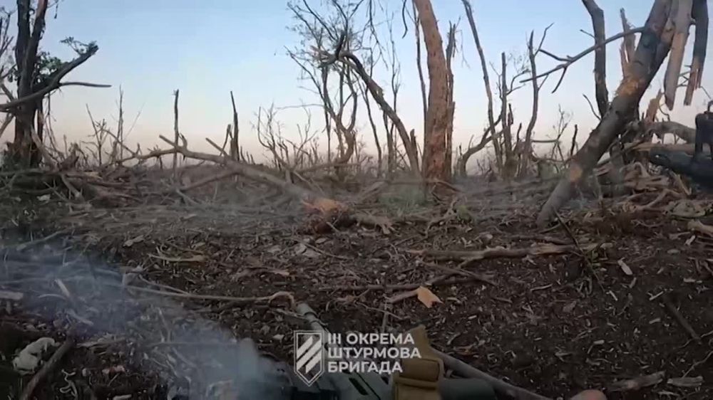 �������, ������, ��� - ���������� ������