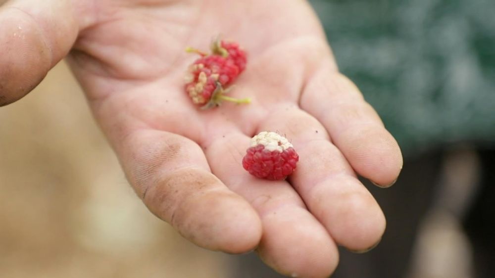 �� ����� ��� �����, ��� ���� � ������ ��������� �����