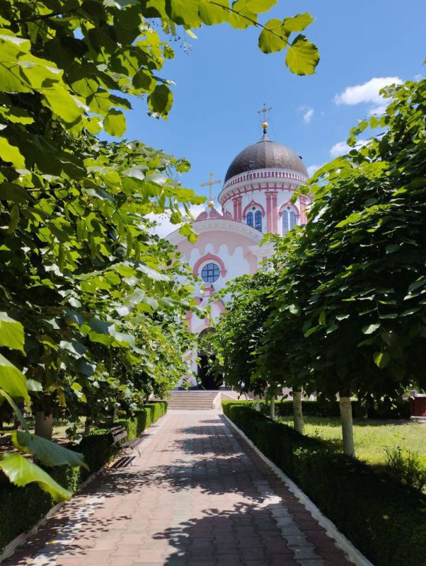 �������. ����-�������� ���������.