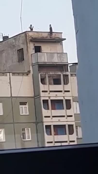 �������. ��������� �� �����. ����� �������!