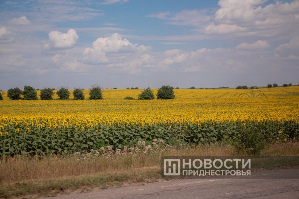 �� ��������������� ����� �������� ������ �������������