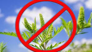 �� ��� ������ ���������� ������ ���������� ������� ����� �������� �� 23 ��