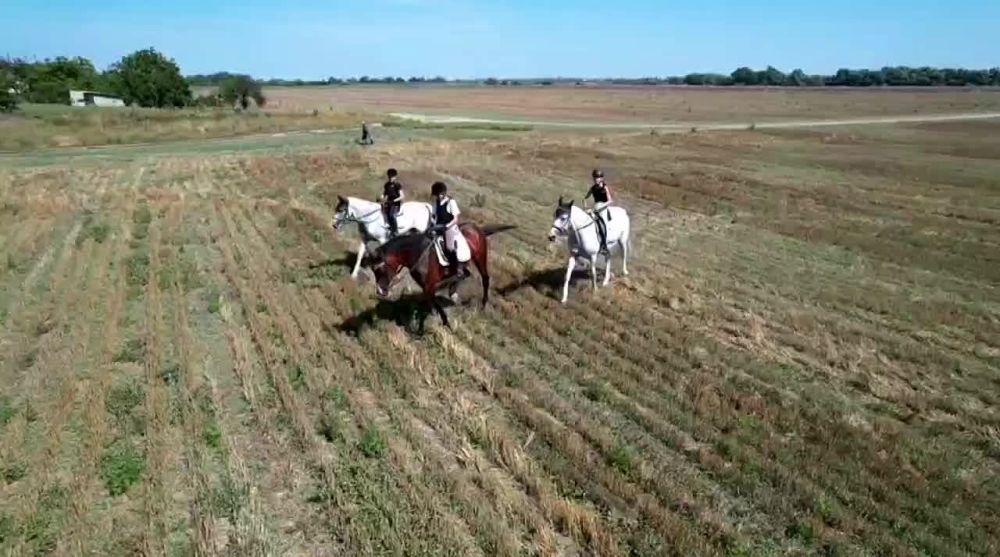 ������ �������� � �������������.