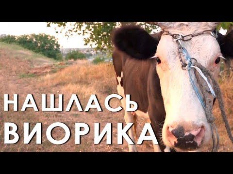 � �������� �� ���� ���� ������� ������. � ������ ������� �������. ������� ������� ������� ����� ����� ���������� � ���