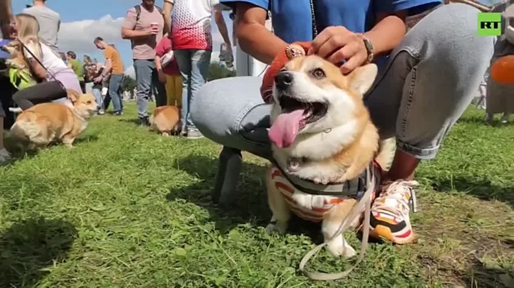 ������ �����-��������� ������ � �����������