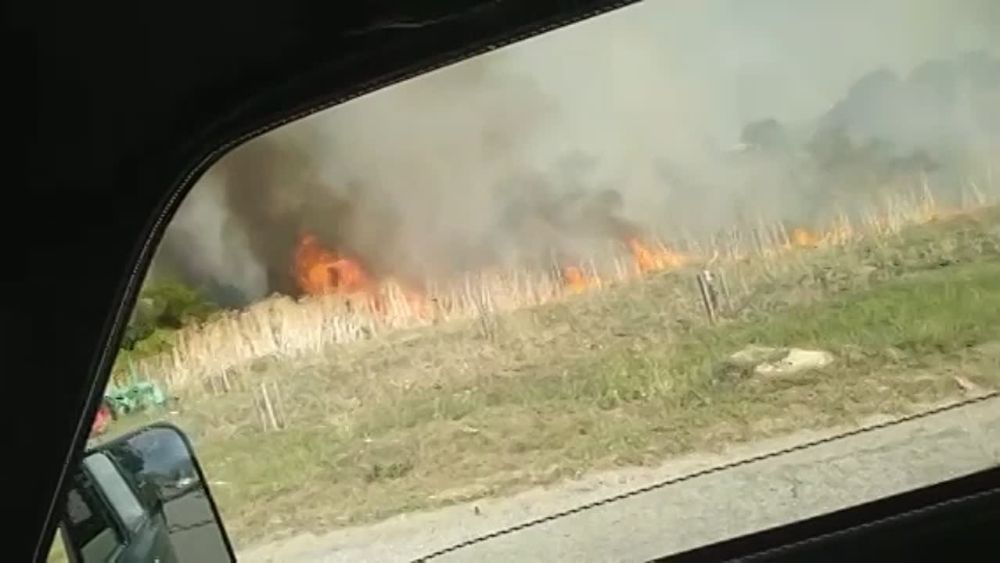 ����������� ������ ������� ����� ����� � ����������, ��� ��������� �����