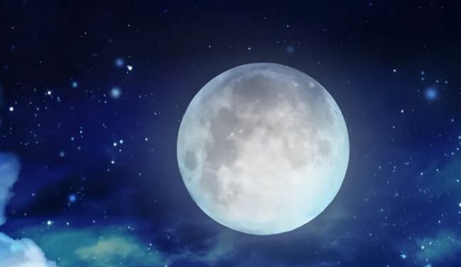 ������������ ���������� ����