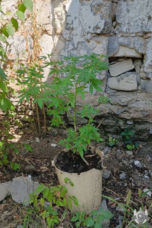 ������� � ������� ����� ��������