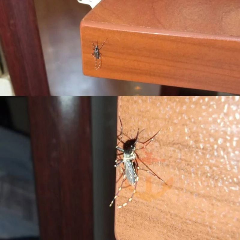 � ������ ��� ������� ��������� �������� �����