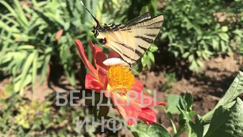 ��������� � ����� ������ � ������ ��������� �����