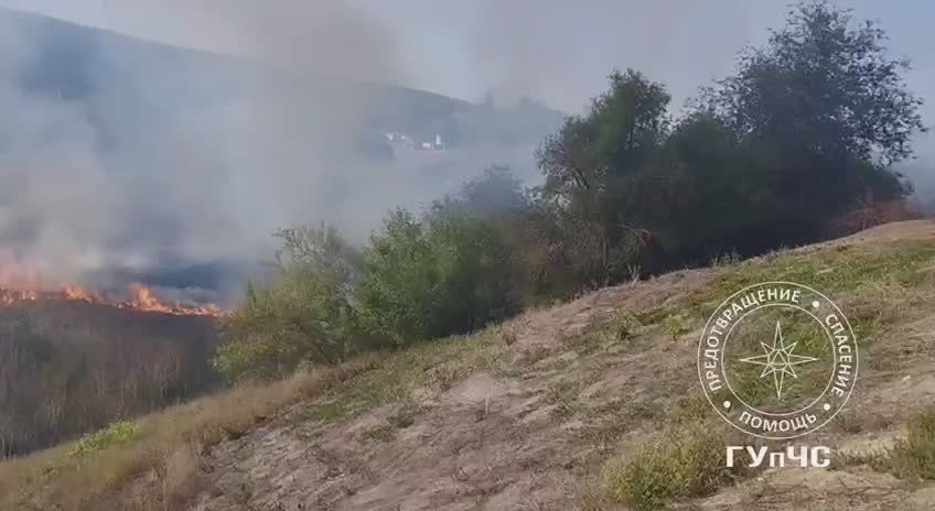 � ���� �������� ���������� ������ ����� ������ ����� ����� �����