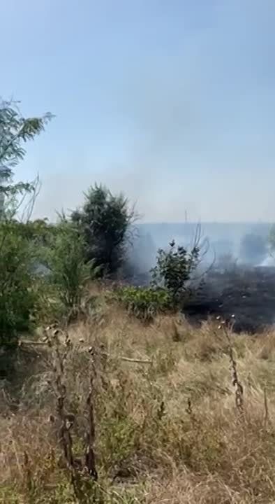 �� ������� �������� ����� ������ ������