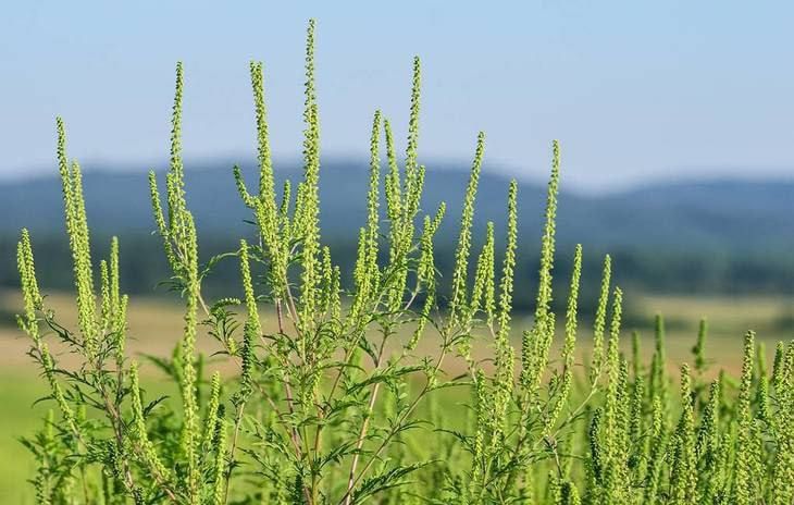 251 ������. 20 �����������. 11 ���������.. �� ��� ������ ������������ 251 ������ ������������� �������� �� 23 ��������, �������� ������ ���������� �������