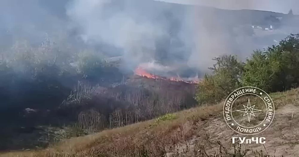 � ��������� �����. ������� � ���������� ����� �����