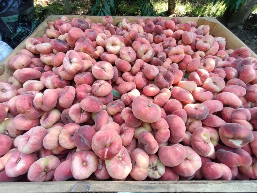 � ������������� ������� ��������� ��� � ���� ����