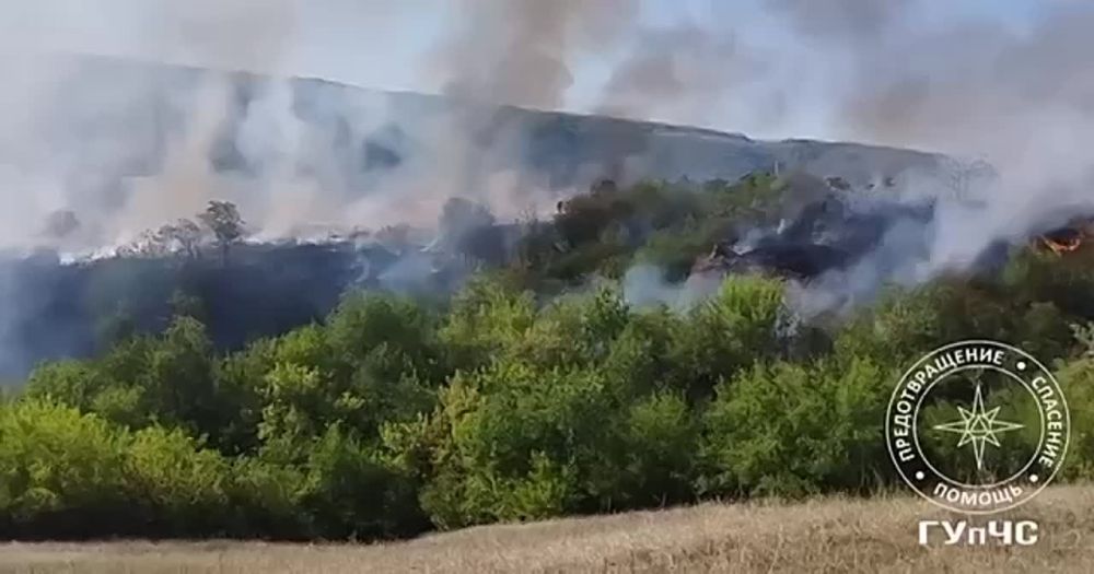 ������ ����� �����. � ���� �������� ���������� ������ ����� ������ ����� ����� �����. �� ����� �������� ��� �������� �������...