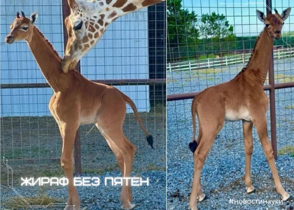 � ������������ ����� �������, � �������� ������, ������� ��������� ���������� ����� ��� �����