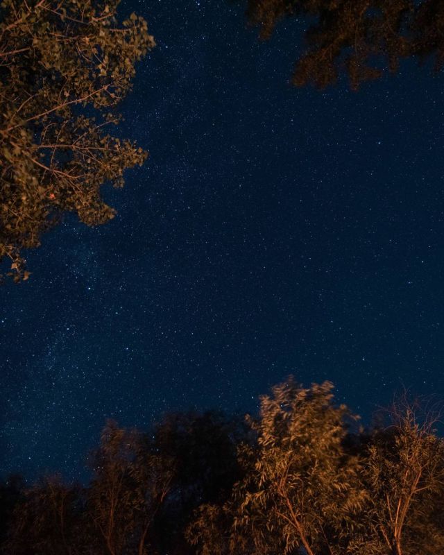 ������ ������������ ����. ���� ������� ����������