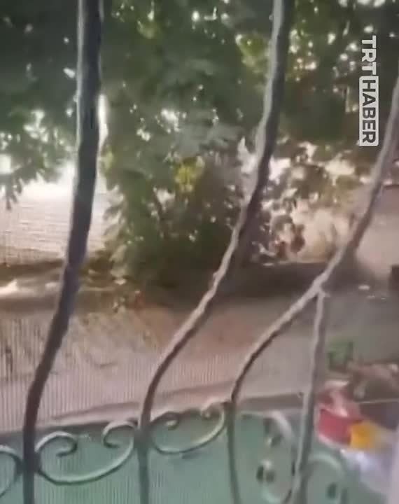 �������� �������� ����� �� �������� � �������� �� �����