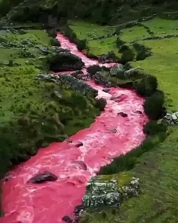 ��-�� ������� ������ � ���� ������� ���� ����� ������� ���� �������� ����