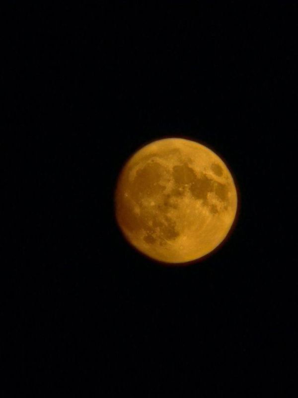 ���������� ���������� �������� ����