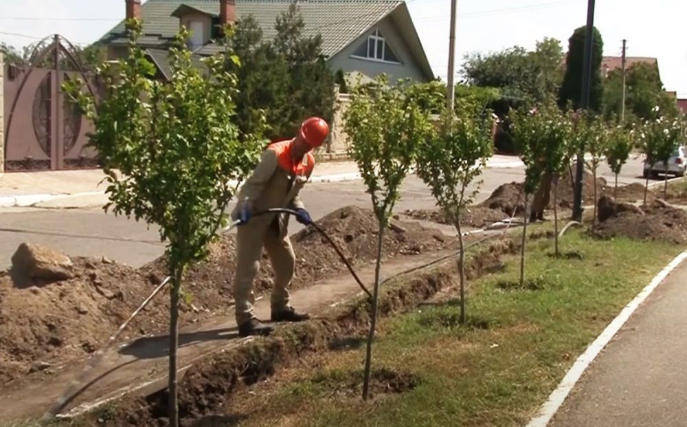 � �������� �������� ���������� ������ ������������