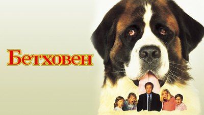 � ��� �� ����� ���� ����� �������� ��������� ��� �������� �����