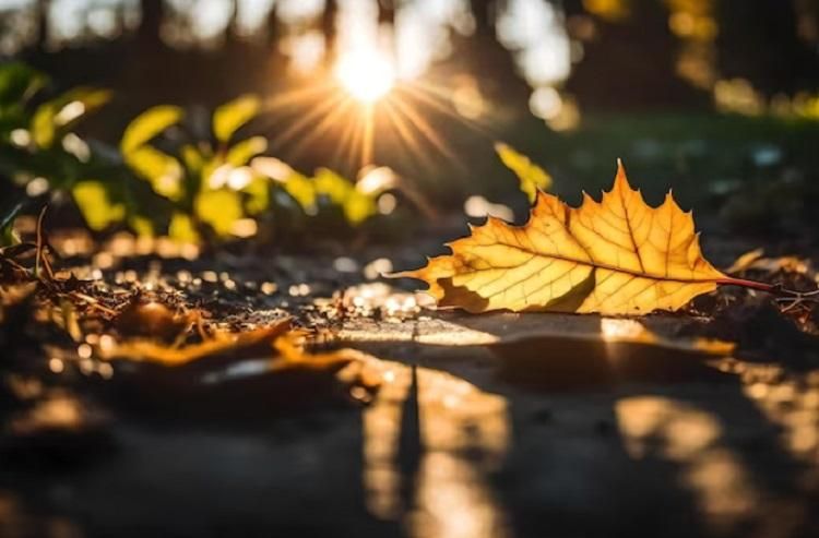 ������ �������: 89 ���� ���� ������, ������� � ���� ��� ��� ���!