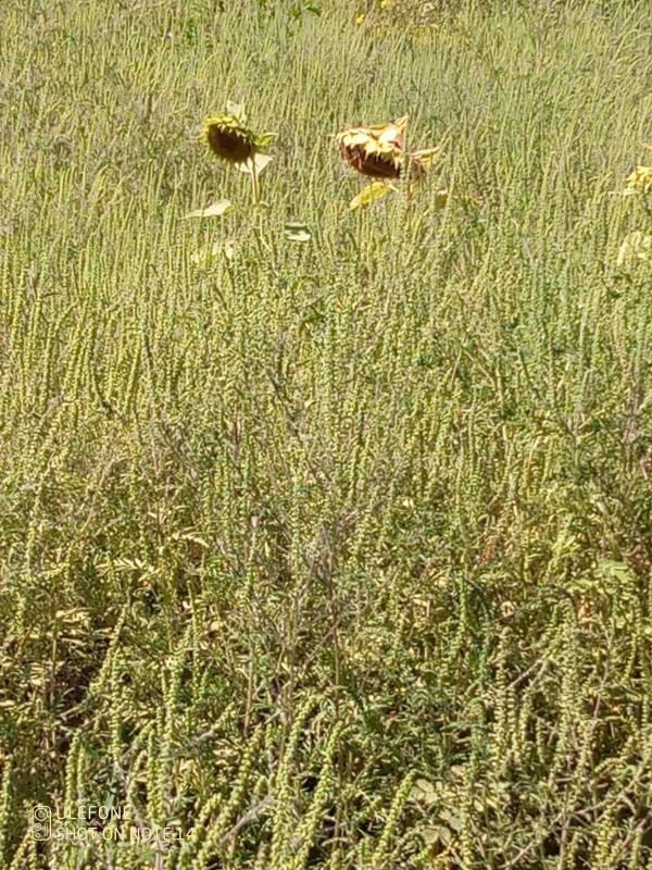 ����� ��������� ����� ���� ��������� �����!�