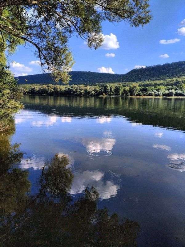 ����� �������, ��������� �����.