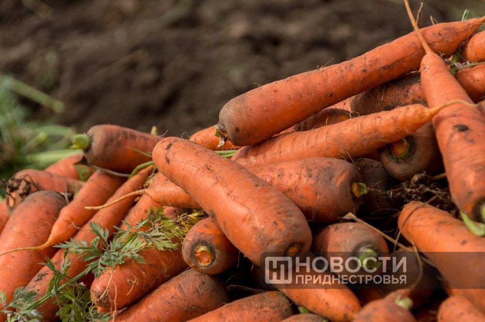 9,8 ������ ���� ������ � ������� ������������� �������������� �� 8 �������