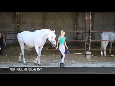 ���������� ��� ������. ������ ���� ����������. � ��������� ������� ������� � ������� �����������