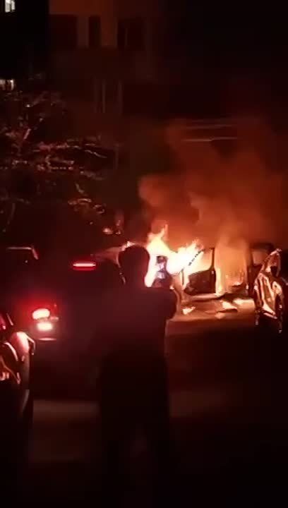 � ��������� � ������ ���� ����� ���������� �� �����