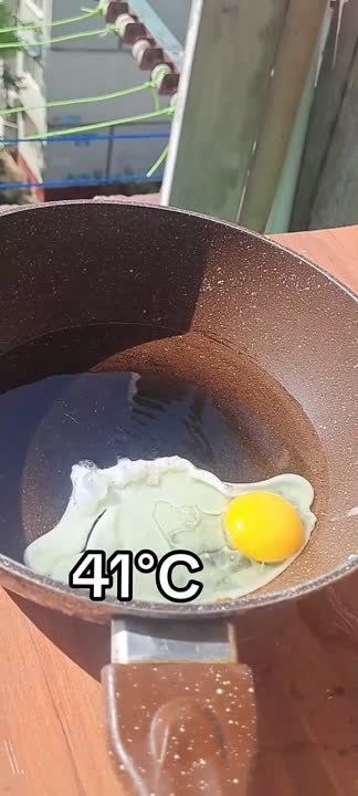 � ��� �������. � ������������ � ����� ����� �����, ��� ��������� ������� ��������