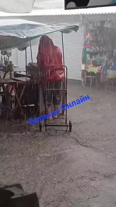 � ������� ����� ������ ������� ������