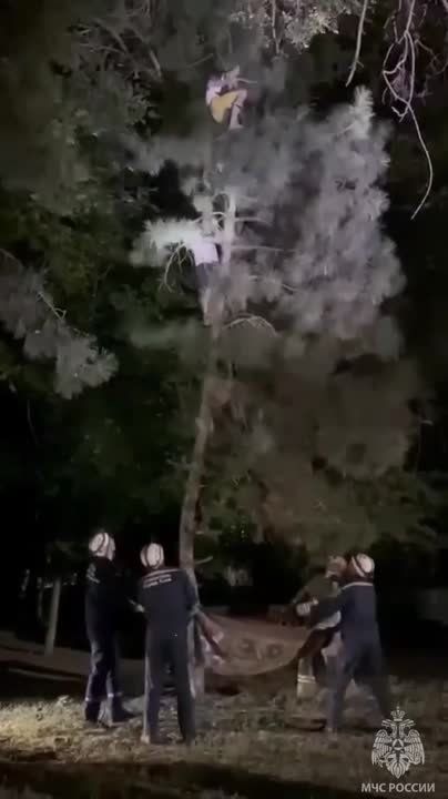 ����� ���������������� � ������� �� ��������