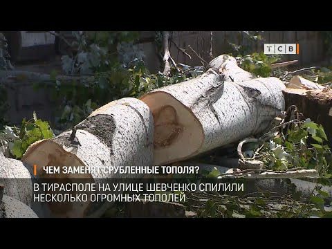 � ��������� �� ����� �������� � ������ ��������� ������� ������� ��������� �������� �������. �� ��� ����� ������� �������� � ������� ������, ������ ������ �������, ������� ������ ������������ ����