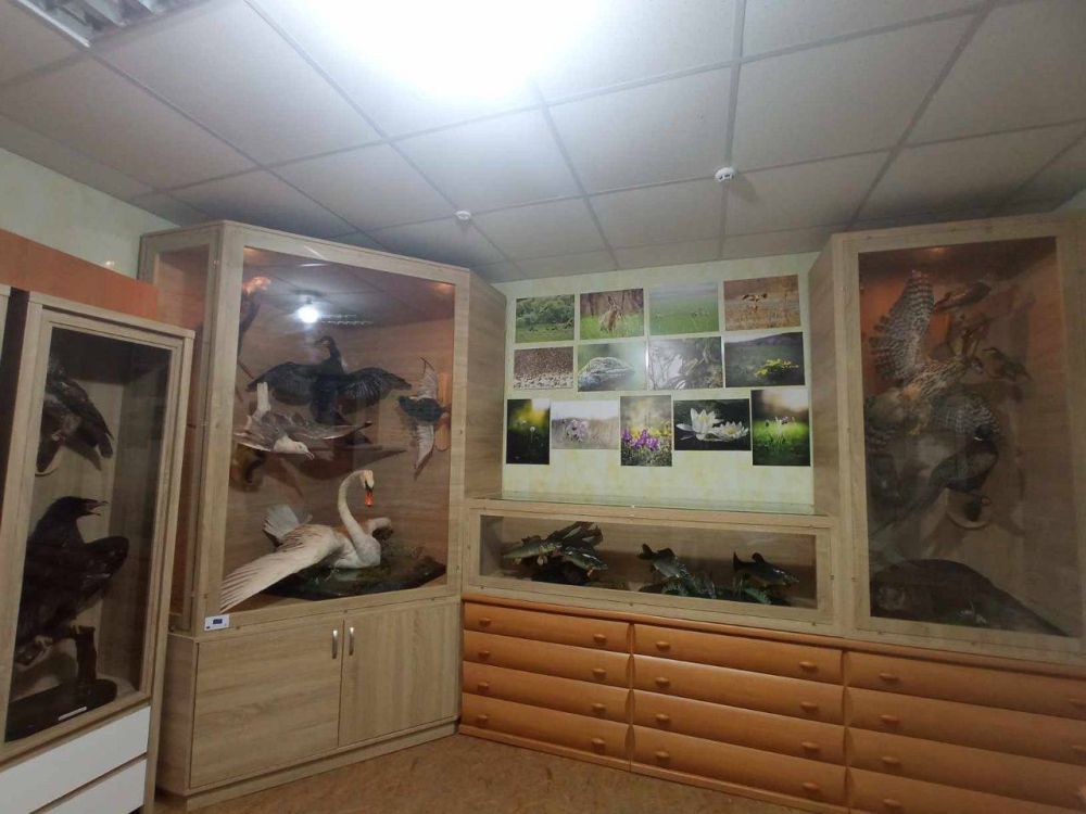 � ����������� "�������" ������ ���������� ����� ��������������� �������, �������� ��� ������