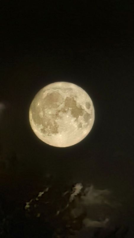 ������� �� ������� ���������� ���� ����